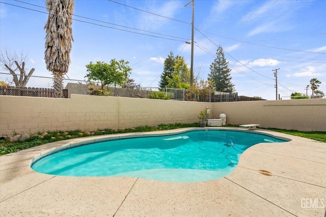 view of pool featuring a patio area, a fenced backyard, and a fenced in pool