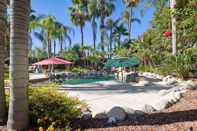 2801 Trengate Way, Bakersfield, CA 93311 - view of pool with a pool and a patio area