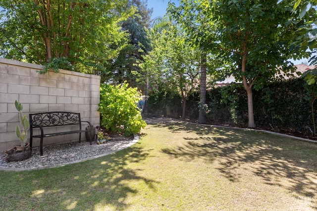2801 Trengate Way, Bakersfield, CA 93311 - view of yard