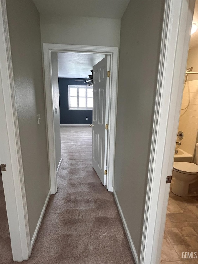 corridor with light carpet