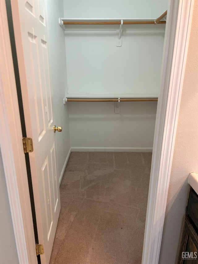 spacious closet with carpet