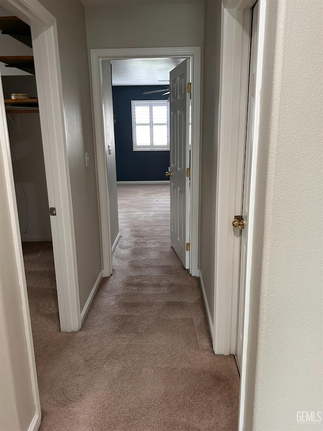 corridor with light colored carpet