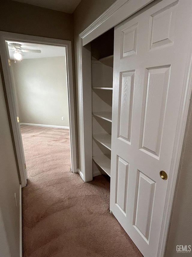 view of closet