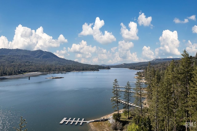 property view of water with a mountain view