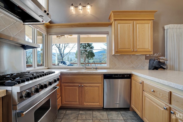 kitchen featuring ventilation hood, stainless steel appliances, plenty of natural light, and sink