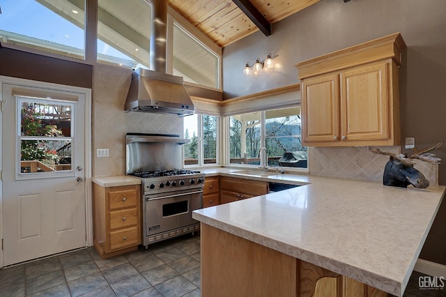 kitchen with kitchen peninsula, designer stove, high vaulted ceiling, and sink