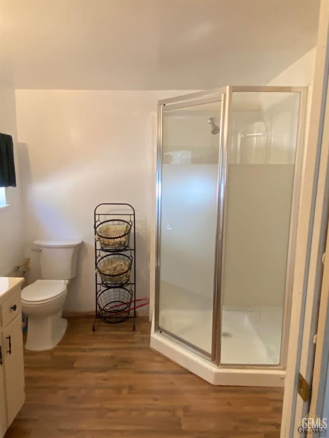44212 Old Stage Rd, Posey, CA 93260 - bathroom featuring wood finished floors, vanity, and a shower stall