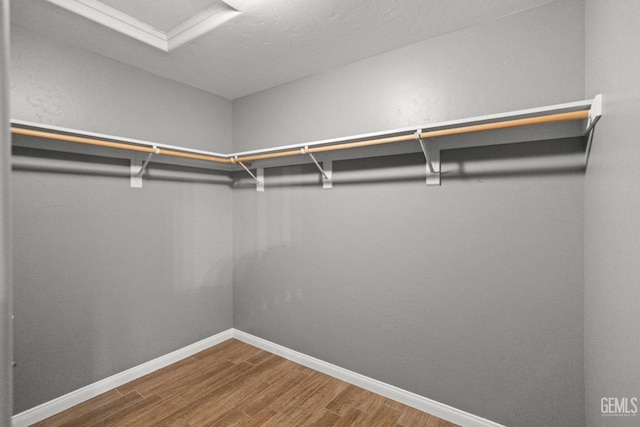 spacious closet with hardwood / wood-style flooring