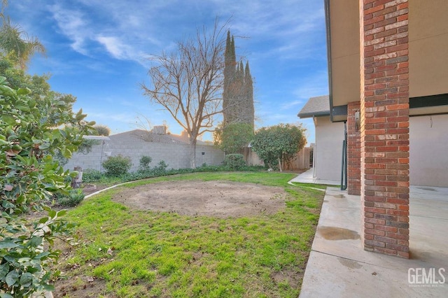 view of yard with a patio area