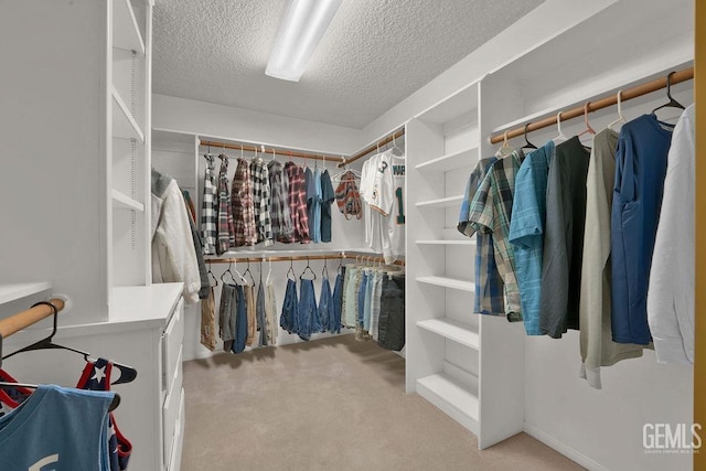 spacious closet featuring light carpet