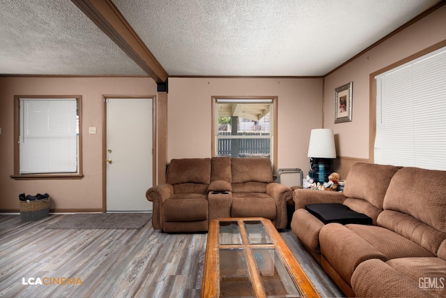 living room featuring hardwood / wood-style floors, ornamental molding, and a textured ceiling