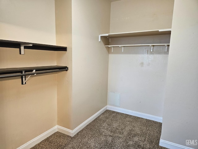 walk in closet with carpet