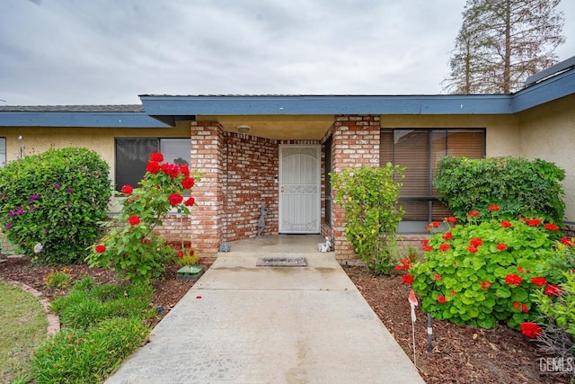 view of exterior entry featuring brick siding and stucco siding