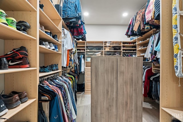 1904 Cricket Park Ct, Bakersfield, CA 93311 - spacious closet featuring light wood-style flooring