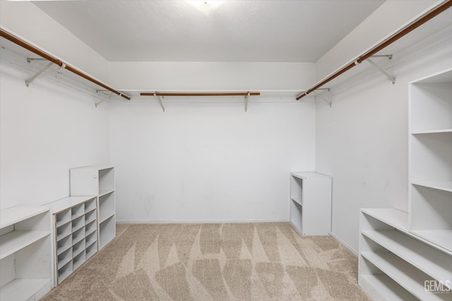 spacious closet featuring carpet
