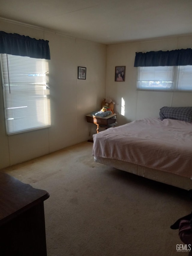 117 Harris Dr, Bakersfield, CA 93308 - photo 15