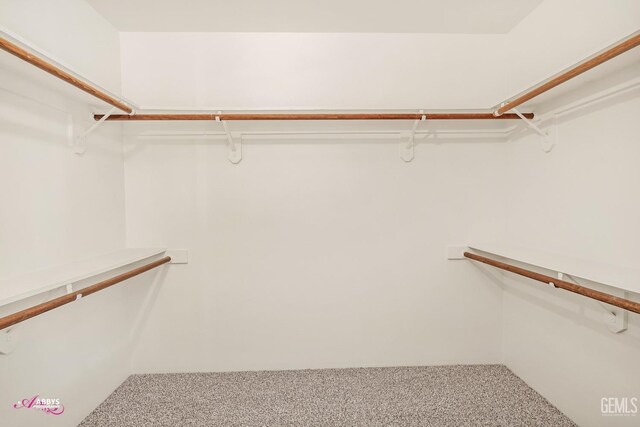 spacious closet with carpet floors