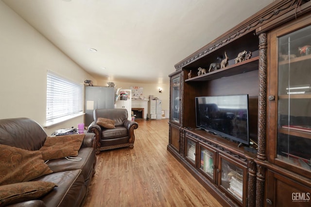 living room featuring light hardwood / wood-style flooring