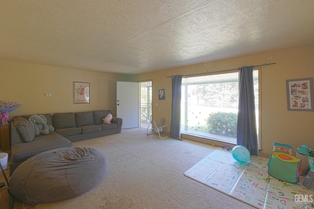 living room with carpet flooring and a textured ceiling