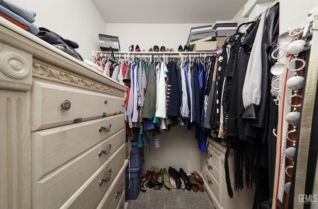 view of spacious closet