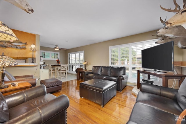 living room with ceiling fan, plenty of natural light, and light wood-type flooring