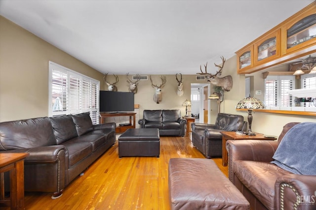 living room featuring light hardwood / wood-style flooring and a healthy amount of sunlight