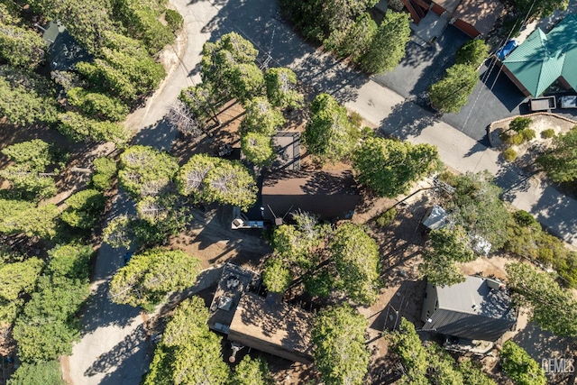 1619 Crescent Dr, Wofford Heights, CA 93285 - photo 49
