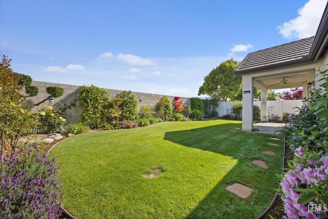 view of yard featuring a patio area, ceiling fan, and a fenced backyard