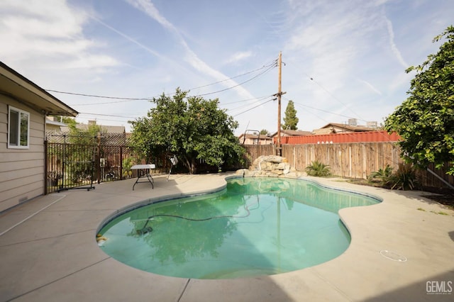 view of swimming pool with a patio