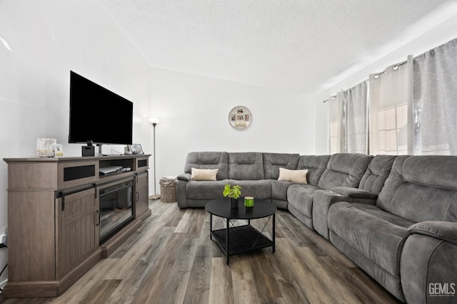 living room with hardwood / wood-style floors and a textured ceiling