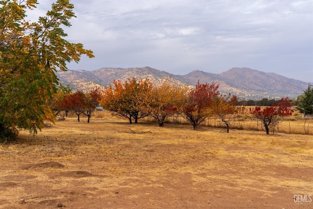 20251 Woodford Tehachapi Rd, Tehachapi, CA 93561 - photo 36