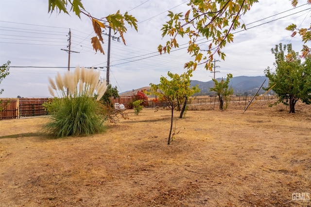 20251 Woodford Tehachapi Rd, Tehachapi, CA 93561 - photo 25