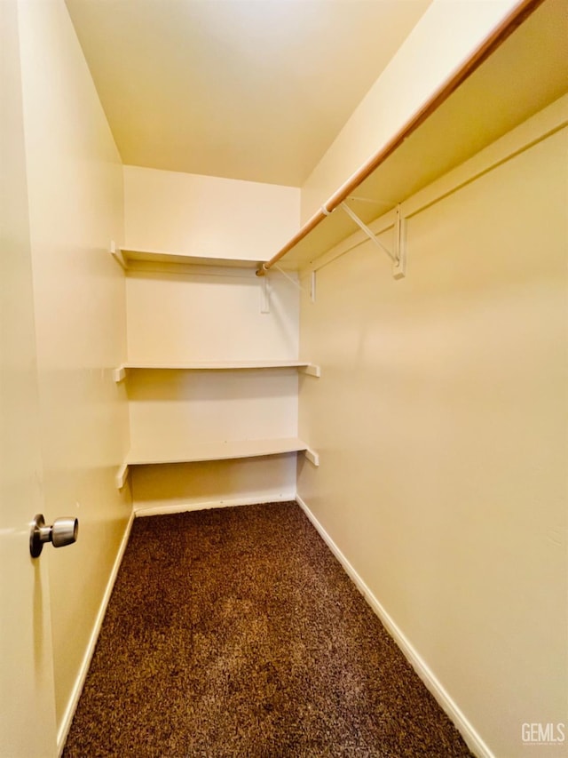 walk in closet with carpet