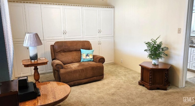 sitting room with light colored carpet