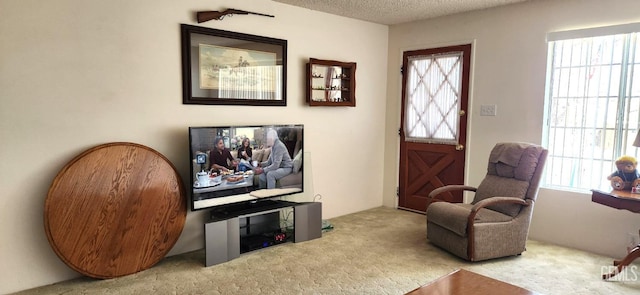 sitting room with a textured ceiling and light colored carpet