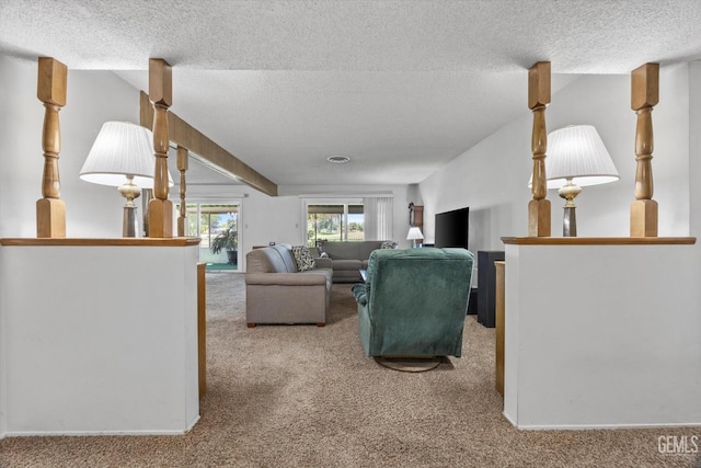 6309 Desert Hills Ave, Bakersfield, CA 93309 - living room with carpet flooring and a textured ceiling