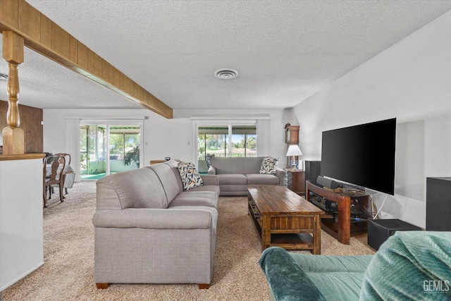 6309 Desert Hills Ave, Bakersfield, CA 93309 - living room featuring carpet flooring and a textured ceiling