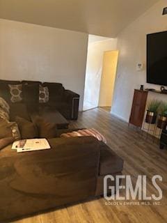 living room featuring wood finished floors and vaulted ceiling