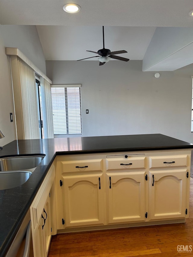 kitchen with wood-type flooring, ceiling fan, lofted ceiling, and sink