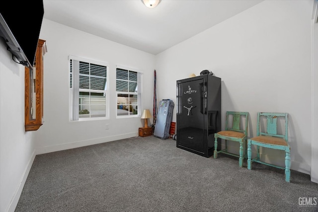interior space with carpet floors and baseboards