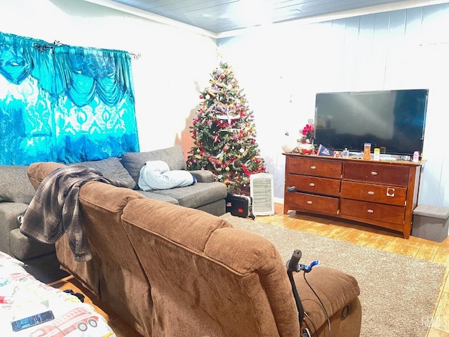 living room with ornamental molding and light hardwood / wood-style floors