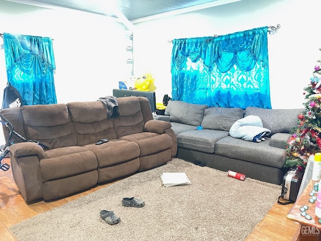 living room featuring hardwood / wood-style floors