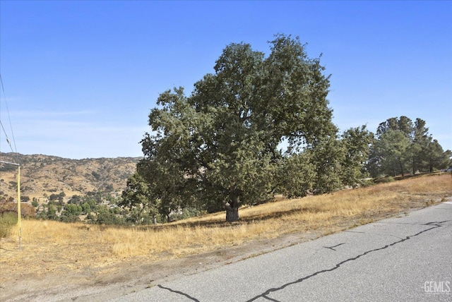 26981 Oakflat Dr, Tehachapi, CA 93561