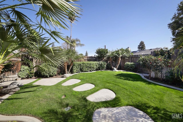 view of yard with a fenced backyard