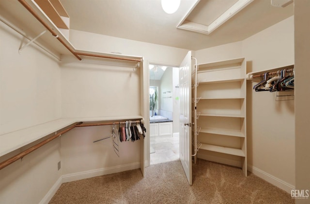 walk in closet featuring carpet flooring