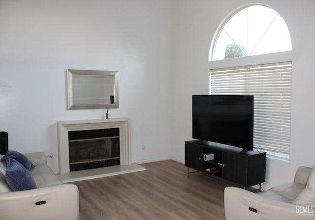 living room featuring wood-type flooring