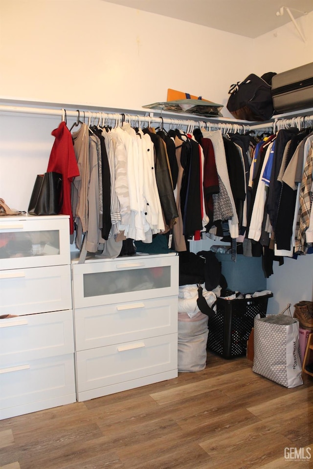 walk in closet with wood-type flooring