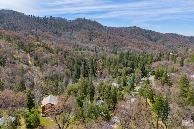 45985 Ridge Rd, Posey, CA 93260 - view of mountain feature with a forest view