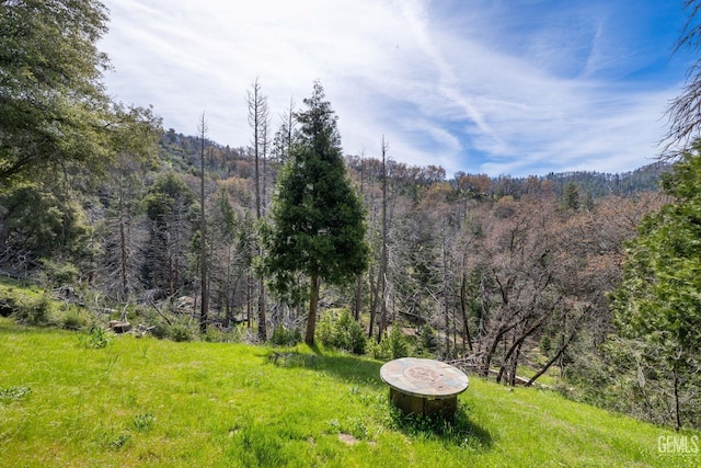 45985 Ridge Rd, Posey, CA 93260 - view of yard with a view of trees