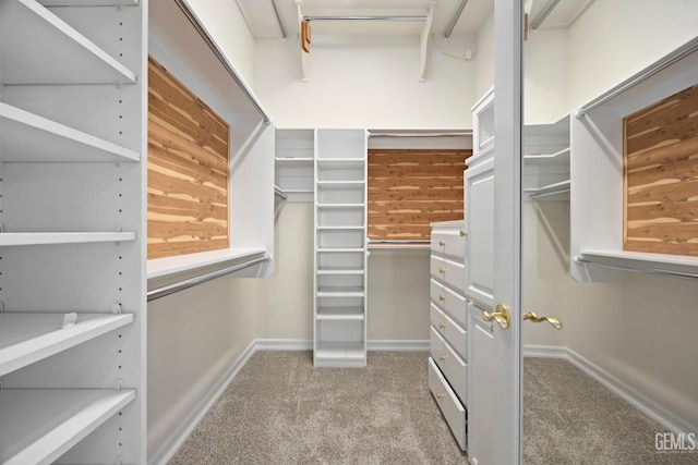 1904 Wedgemont Pl, Bakersfield, CA 93311 - walk in closet with light carpet